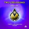 Two Organisms - Destiny (Tripeller breaks remix) - buy and download mp3 at iTunes, Beatport, Sony Connect, Ministry of Sound, Walmart, Juno, Magnetic Grooves, Resonant Vibes, Play it Tonight, Release Records, eMusic, DJ Download, and many more...