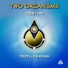 Two Organisms - Destiny (Tripeller remix) - buy and download mp3 at iTunes, Beatport, Sony Connect, Ministry of Sound, Walmart, Juno, Magnetic Grooves, Resonant Vibes, Play it Tonight, Release Records, eMusic, DJ Download, and many more...