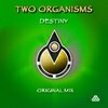Two Organisms - Destiny (original mix) - buy and download mp3 at iTunes, Beatport, Sony Connect, Ministry of Sound, Walmart, Juno, Magnetic Grooves, Resonant Vibes, Play it Tonight, Release Records, eMusic, DJ Download, and many more...